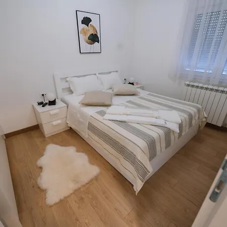 Nika Surčin
